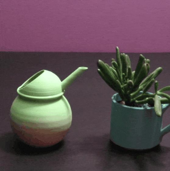 Bulbus Watering Can - Support Free