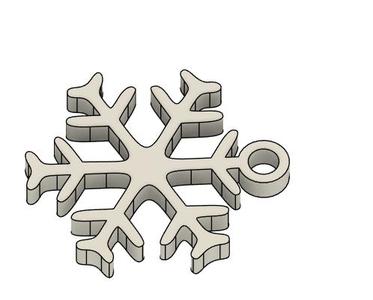 Snow flake braches