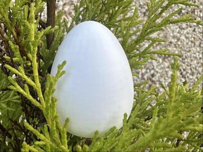 Egg