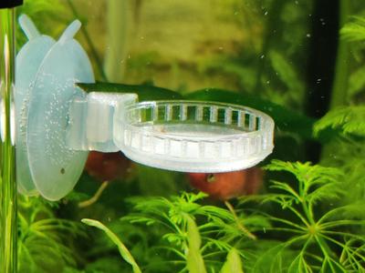 Parametric Glass Suction Cup Feeder Dish