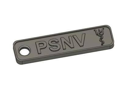 Badge / Pendant PSNV 
