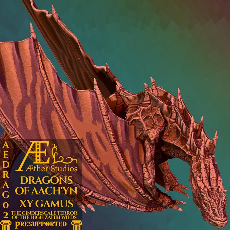 AEDRAG02 - Xy Gamus