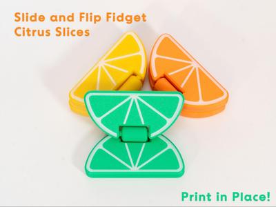 Citrus Slide and Flip Fidget - Print in Place!