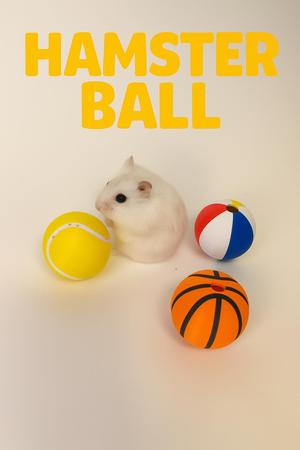 HAMSTER BALL