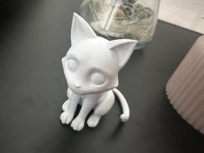 Sitting Cat