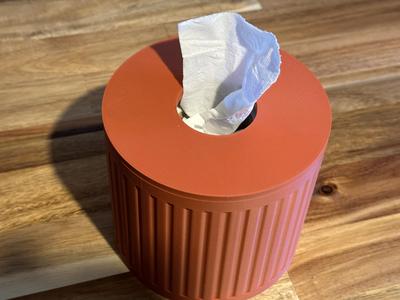 Modern Tissue Holder