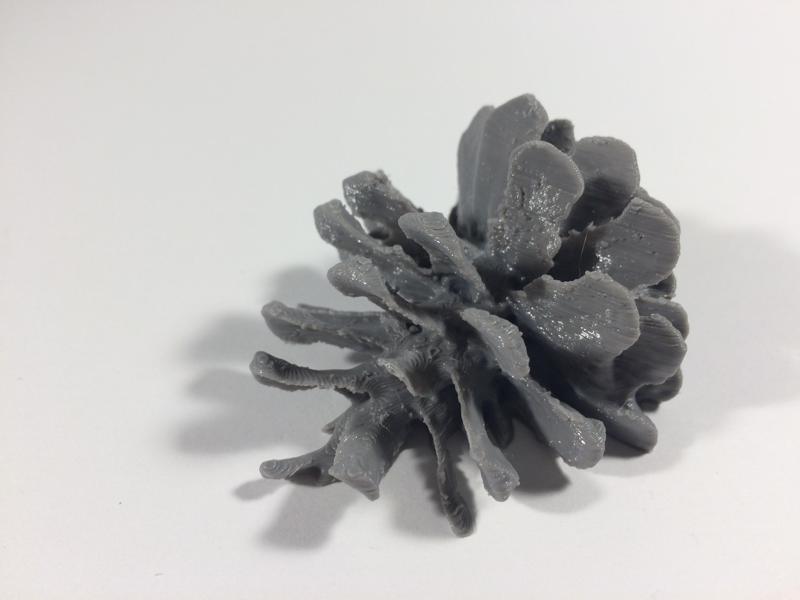 Half an Pine cone (Photogrammetry)