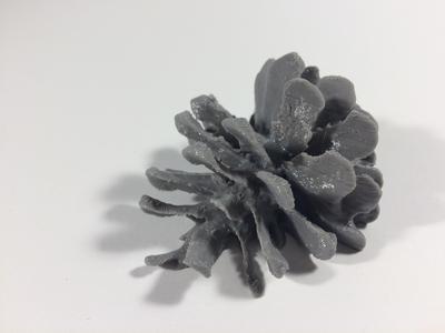 Half an Pine cone (Photogrammetry)