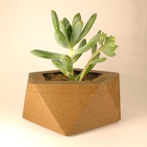 Geo Pot