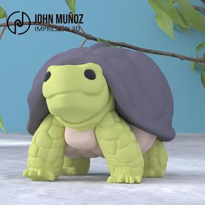 Cute Turtle Keychain