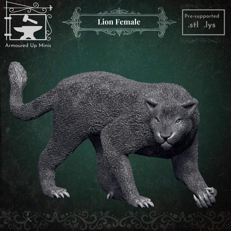 Lion - Female