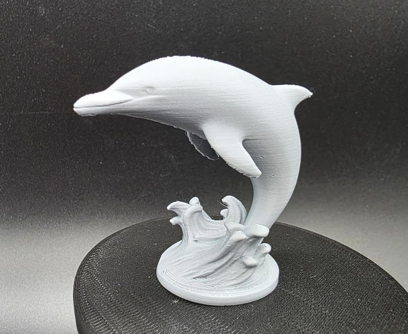 Dolphin Miniature