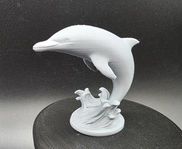 Dolphin Miniature