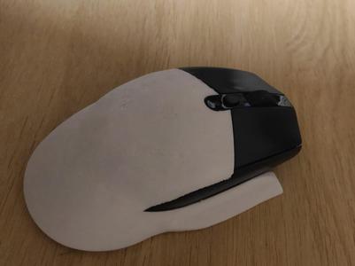 G305 cover