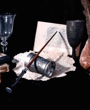 Yusuf Kama's Wand - Harry Potter
