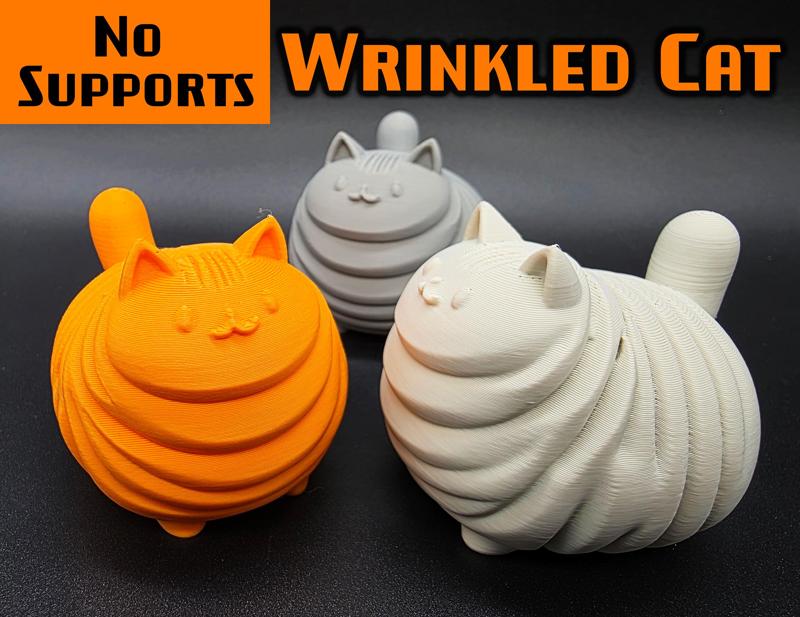 Wrinkled Cat No Supports