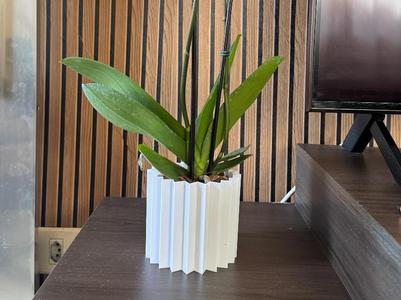 orchid pot