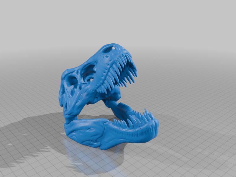 Tyrannosaurus Rex Skull