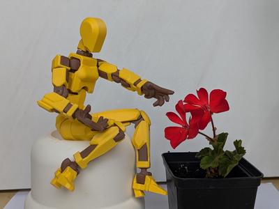 Lady Dummy13. Female model