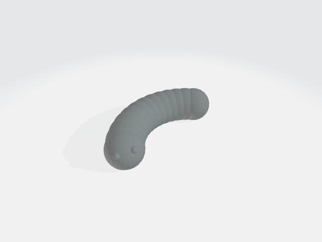 Raupe  /  caterpillar