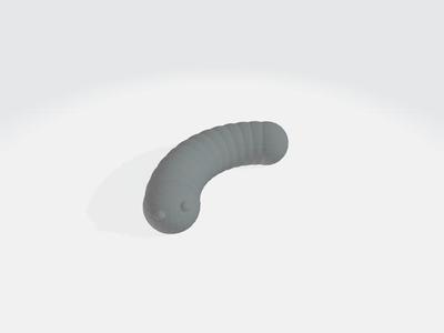 Raupe  /  caterpillar