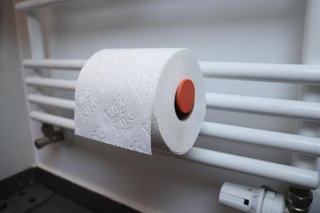 Toilet Paper Holder for Heating Ladder