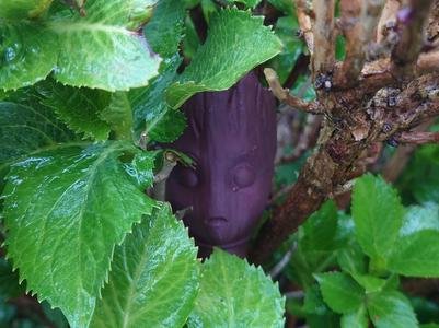 Geocache Cache Groot Lid Cover for PETling 