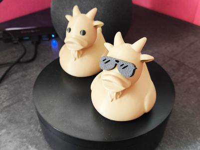 Little Goat - Kid