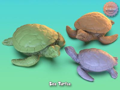 Sea Turtle
