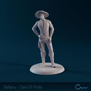 Bellamy Draven - Dark Elf Pirate
