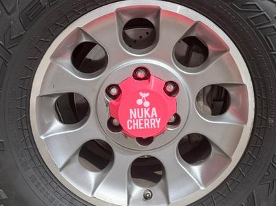 Nuka Cola Hub Caps