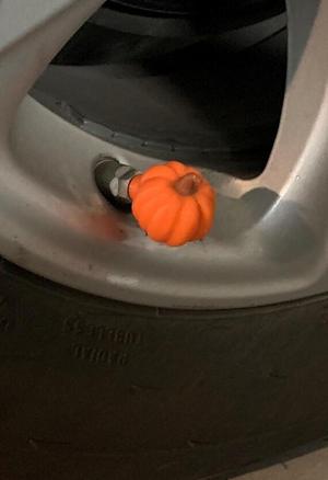 Pumpkin Valve