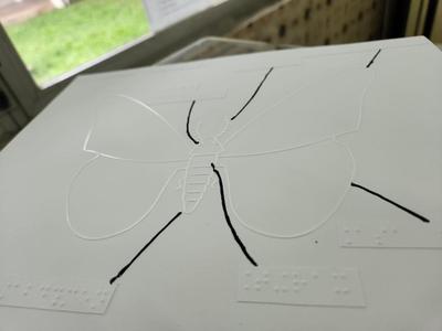 Tactile image: butterfly