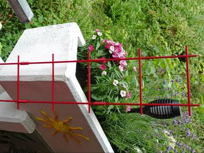 Trellis, Climbing Frame