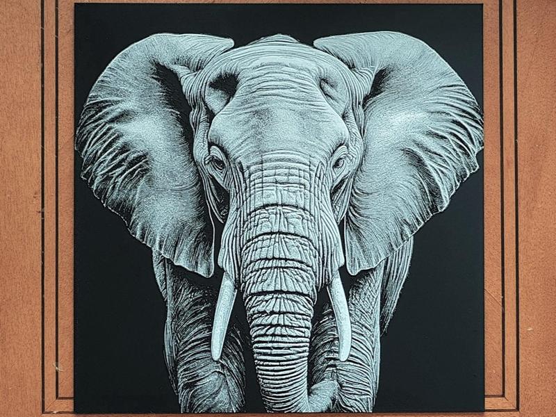 Elephant - 3 Colours - Hueforge