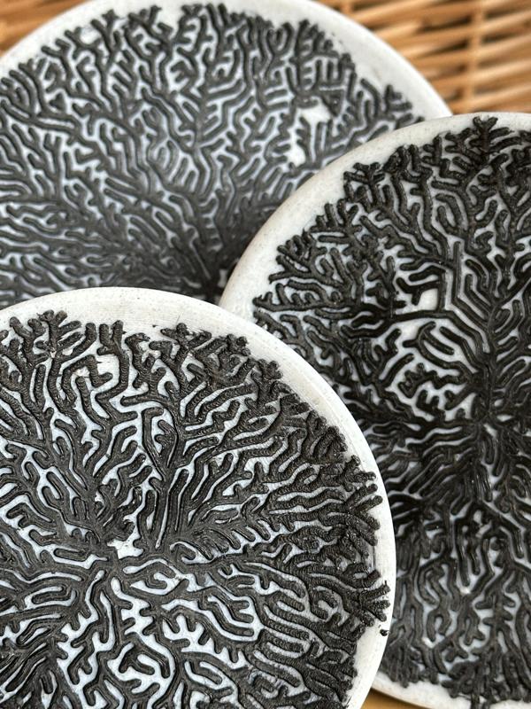 Moldy Plates