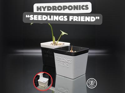 Hydroponics – "Seedlings Friend"