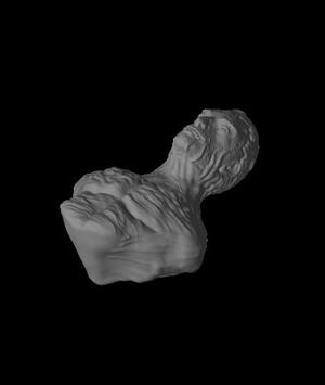 Kassidy carnage bust