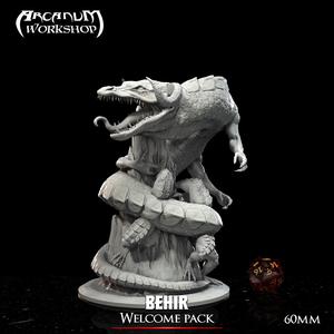 The Behir 