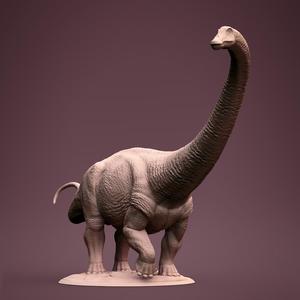 Brontosaurus female