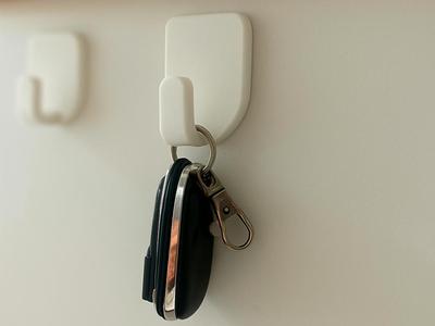 Wall Hook 