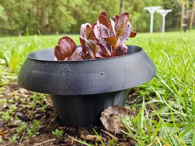 Slug collar / Snail protection