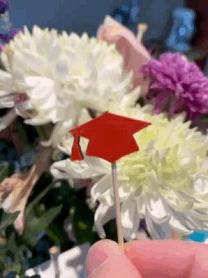 Graduation Cupcake Topper - School Colors