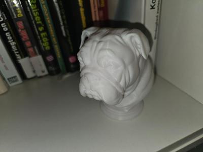 ENGLISH BULLDOG BUST