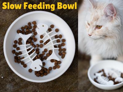 Cat Slow Feeder Bowl - Cat Toy feeder