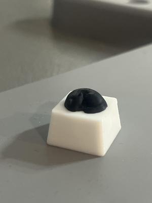 Sleepy Cat Keycap