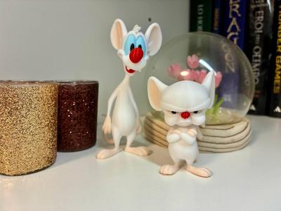 Pinky and the Brain