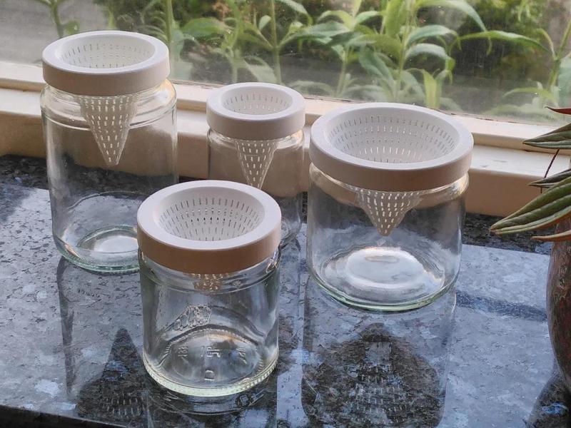 Turn any jar into a fruitfly trap