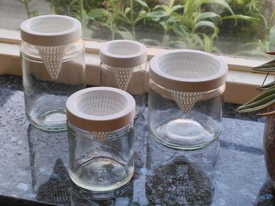 Turn any jar into a fruitfly trap