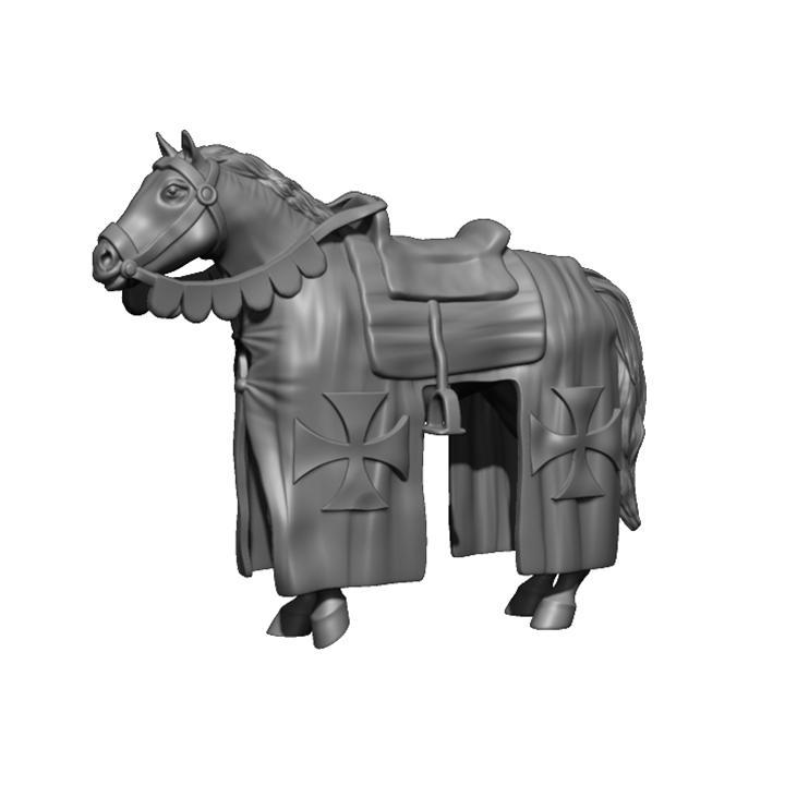 Crusader horse 3